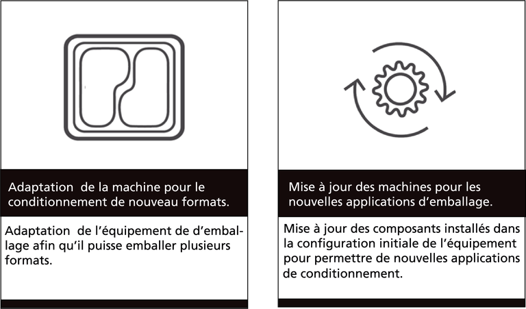 Adaptation 1B.png Adaptation 1B.png