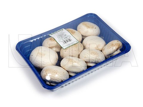 Emballage de champignons en barquette operculée