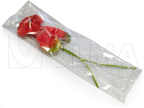 Conditionnement de Fleurs (Anthurium) en flow pack (HFFS)